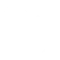 support